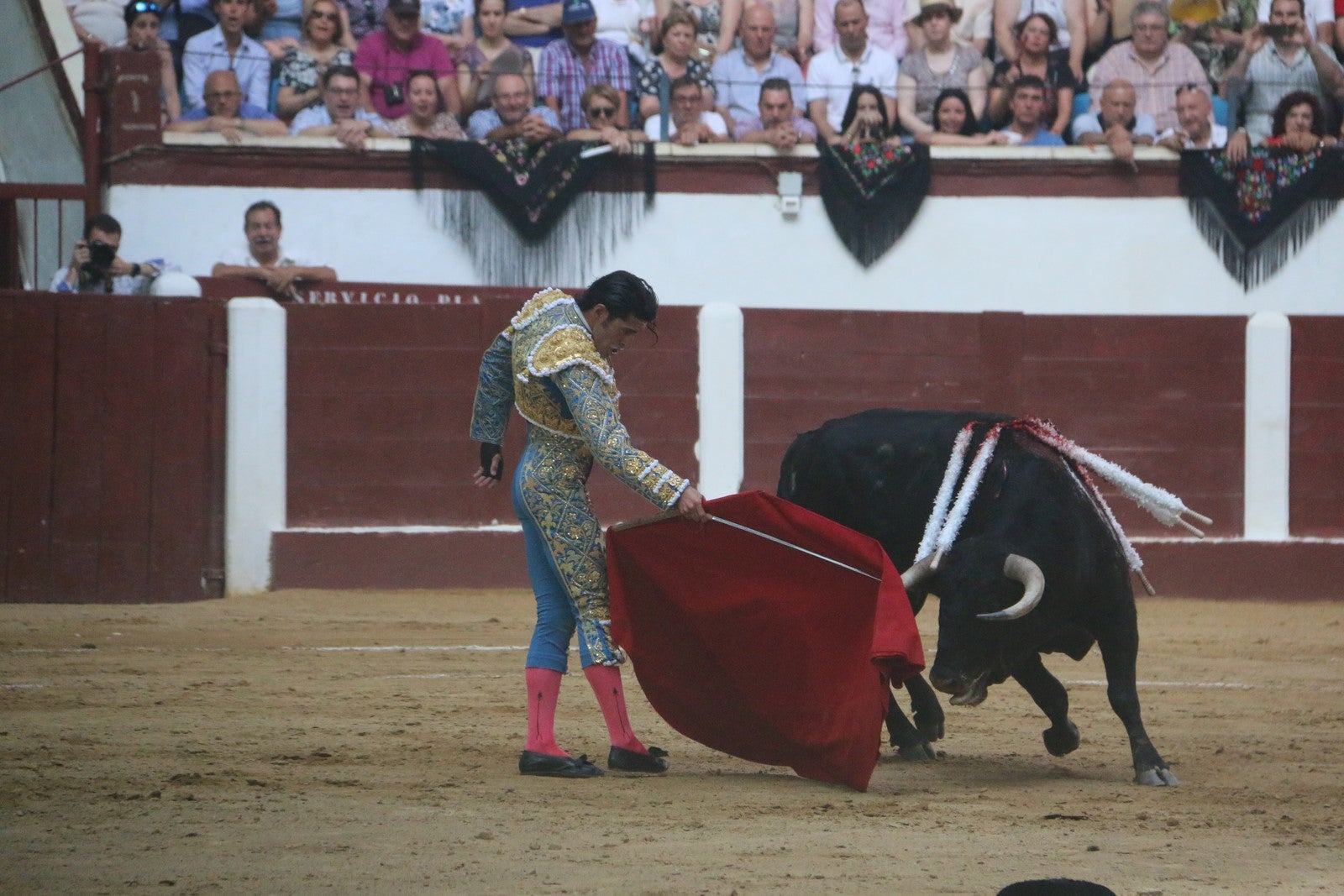 Fotos: Corrida del día  de San Juan, Morante, Manzanares, Talavante y Roca Rey