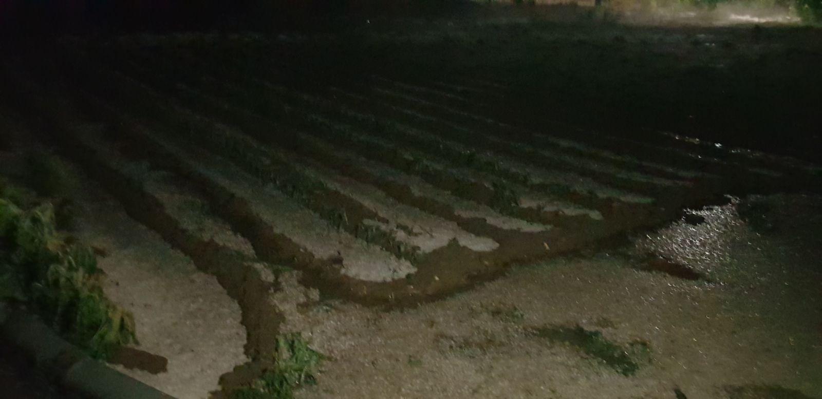 Fotos: La huella del granizo en Algadefe