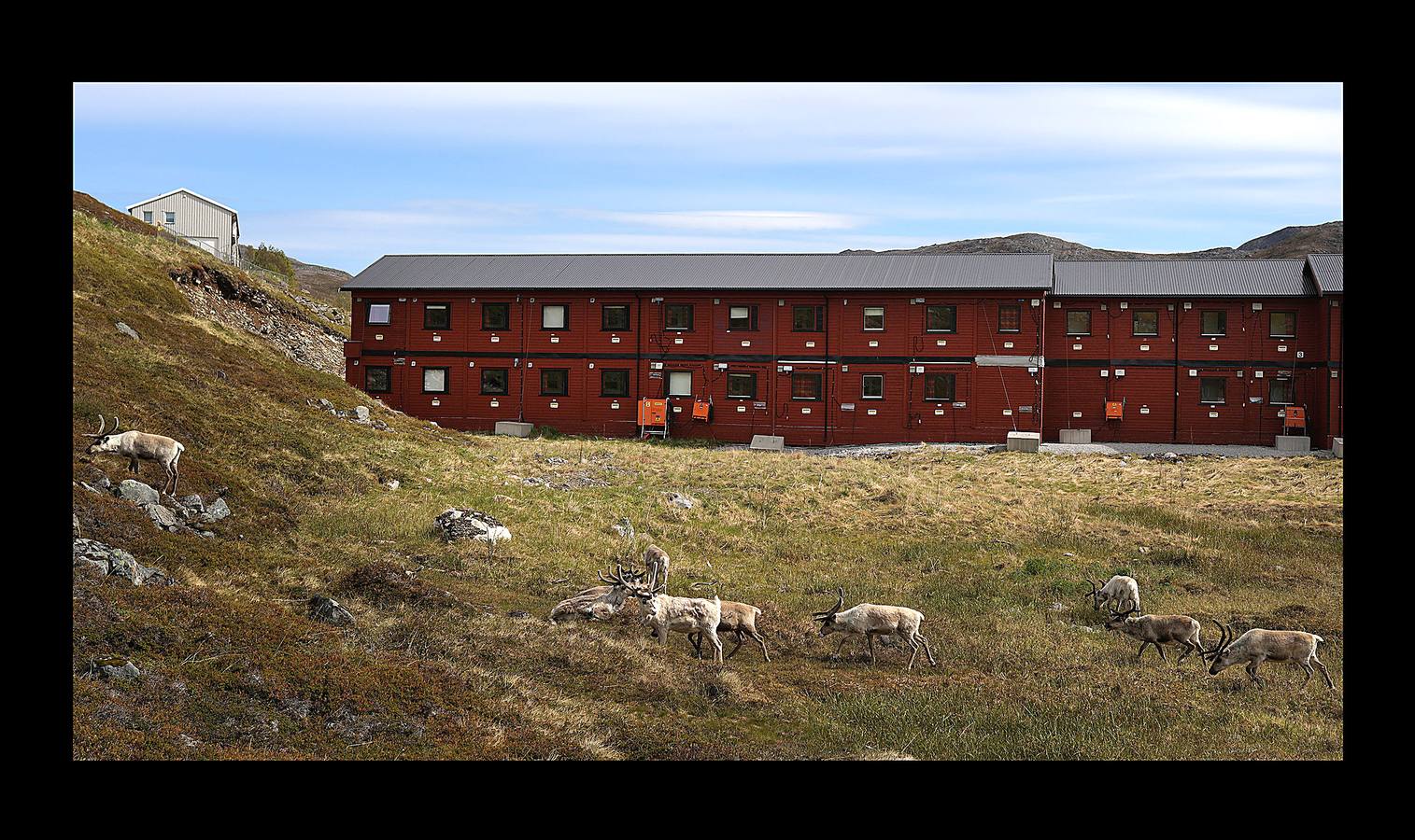 Cuando no está en la tundra ártica con sus 2.000 renos, su perro y Whitney Houston en los auriculares, Nils Mathis Sara trata de explicar cómo una mina de cobre amenaza su sustento. Junto con otros pastores y pescadores, este hombre de 60 años se encuentra en un momento clave con los propietarios de la mina y funcionarios noruegos. El cambio climático (las temperaturas promedio en el Ártico han aumentado más de 2 grados, el doble de rápido que el promedio mundial) y la tecnología, están generando una explosión en el desarrollo industrial de la región, que amenazan las formas de vida tradicionales y crean tensiones entre sus 4 millones de habitantes.