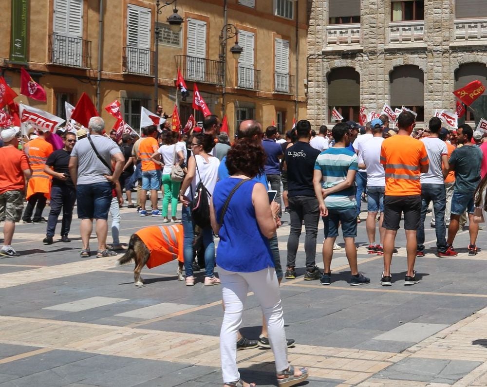 De Villadangos a León capital. De la delegación de la Junta hasta la Catedral. De la desesperanza a la movilización para que la provincia no pierda 600 empleos.