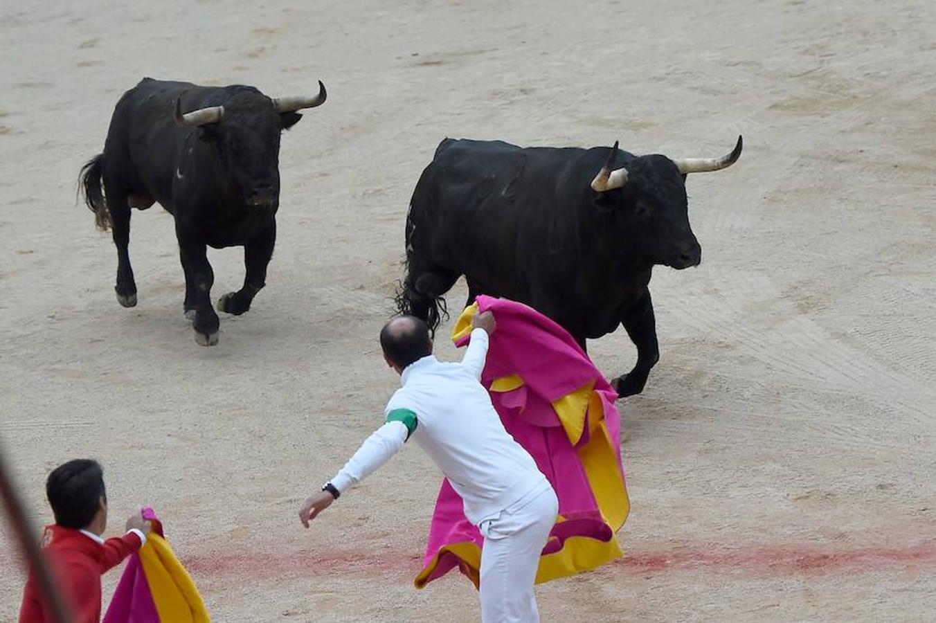 Los toros de Jandilla han provocado el segundo herido por asta de toro de estos Sanfermines.