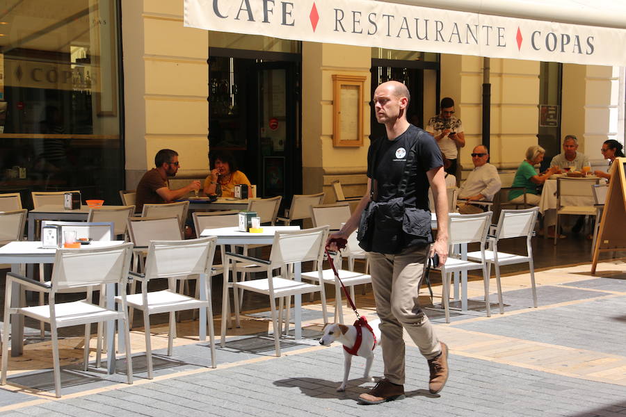 Fotos: Pipper ya pisa el suelo de León