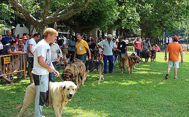 Foto de anteriores ediciones