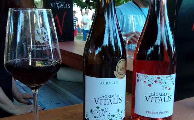 Galería. La Feria del Vino vuelve a inundar Valencia de Don Juan.