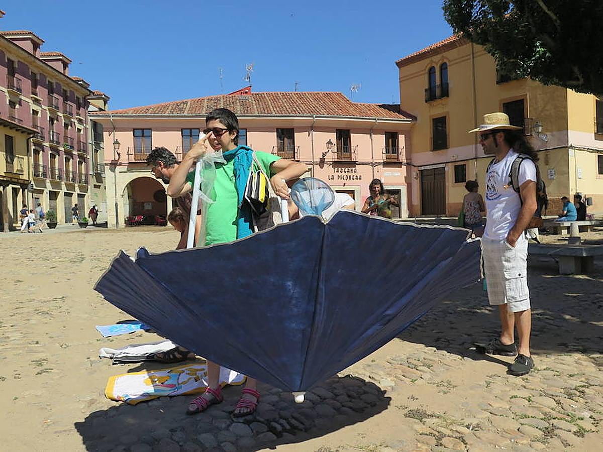 Fotos: Concentración en la &#039;Playa del Grano&#039;
