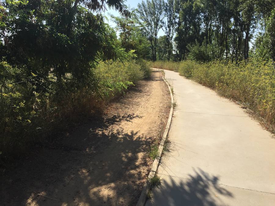 Fotos: Estado del paseo del río Bernesga en León a la altura de Puente Castro