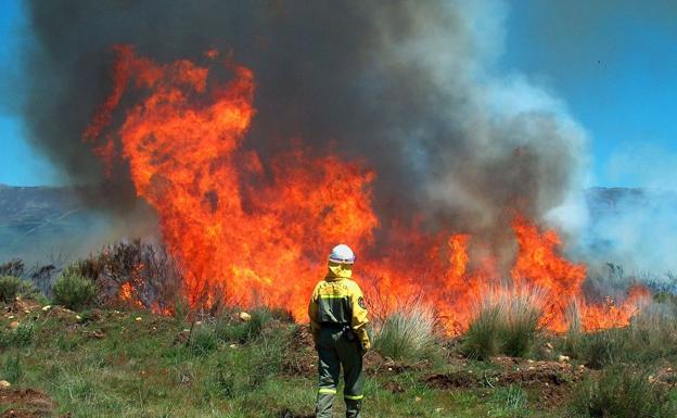 Uno de los incendios que hay activos en Castilla y León.