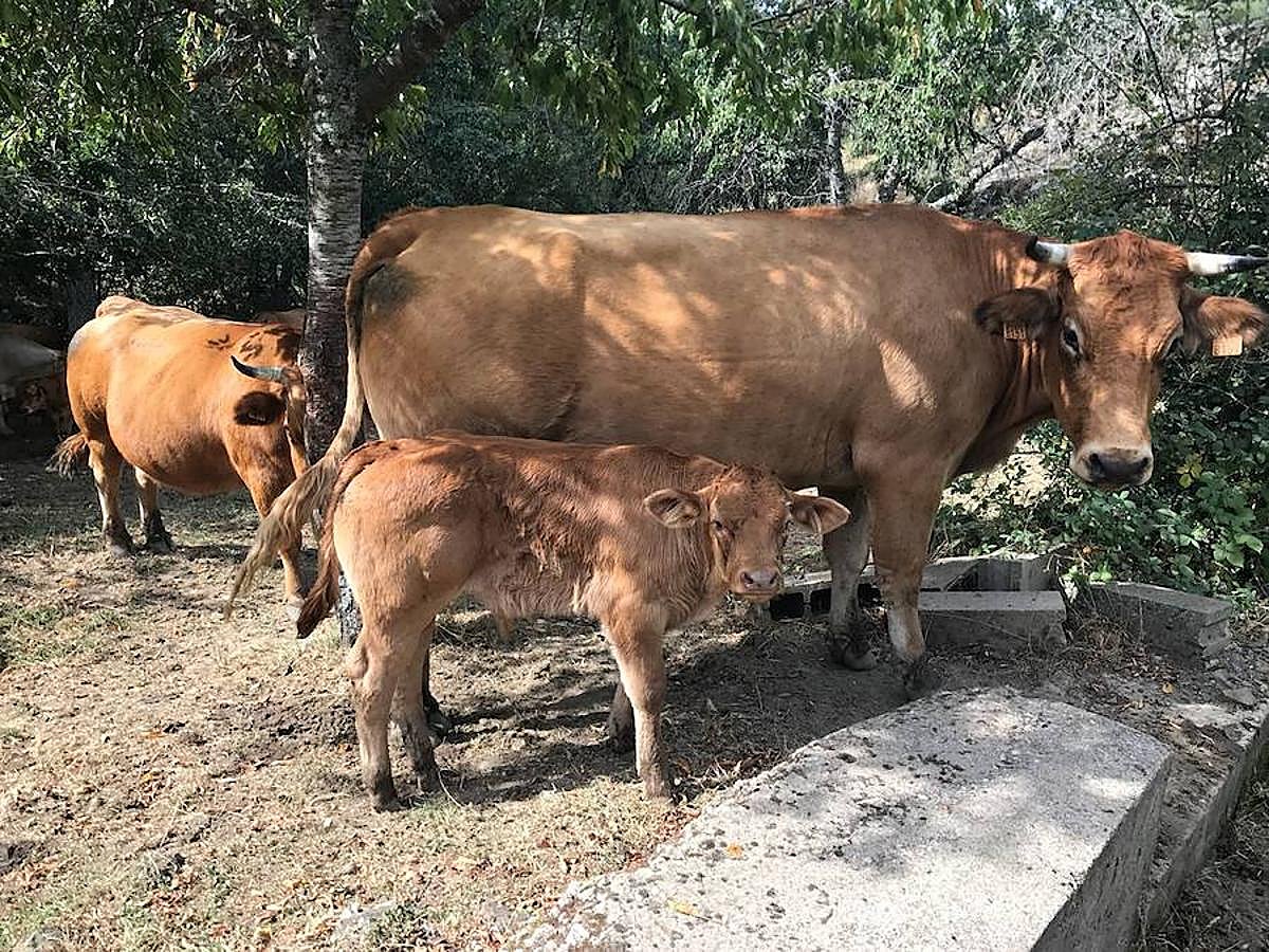 Fotos: Las mejores imágenes del Trail Villafeide 2018