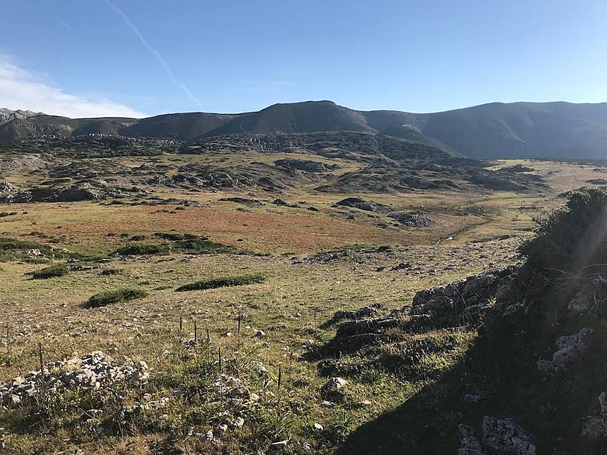 Fotos: Las mejores imágenes del Trail Villafeide 2018