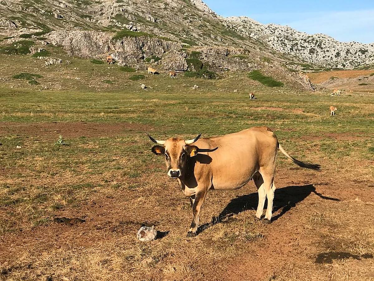 Fotos: Las mejores imágenes del Trail Villafeide 2018