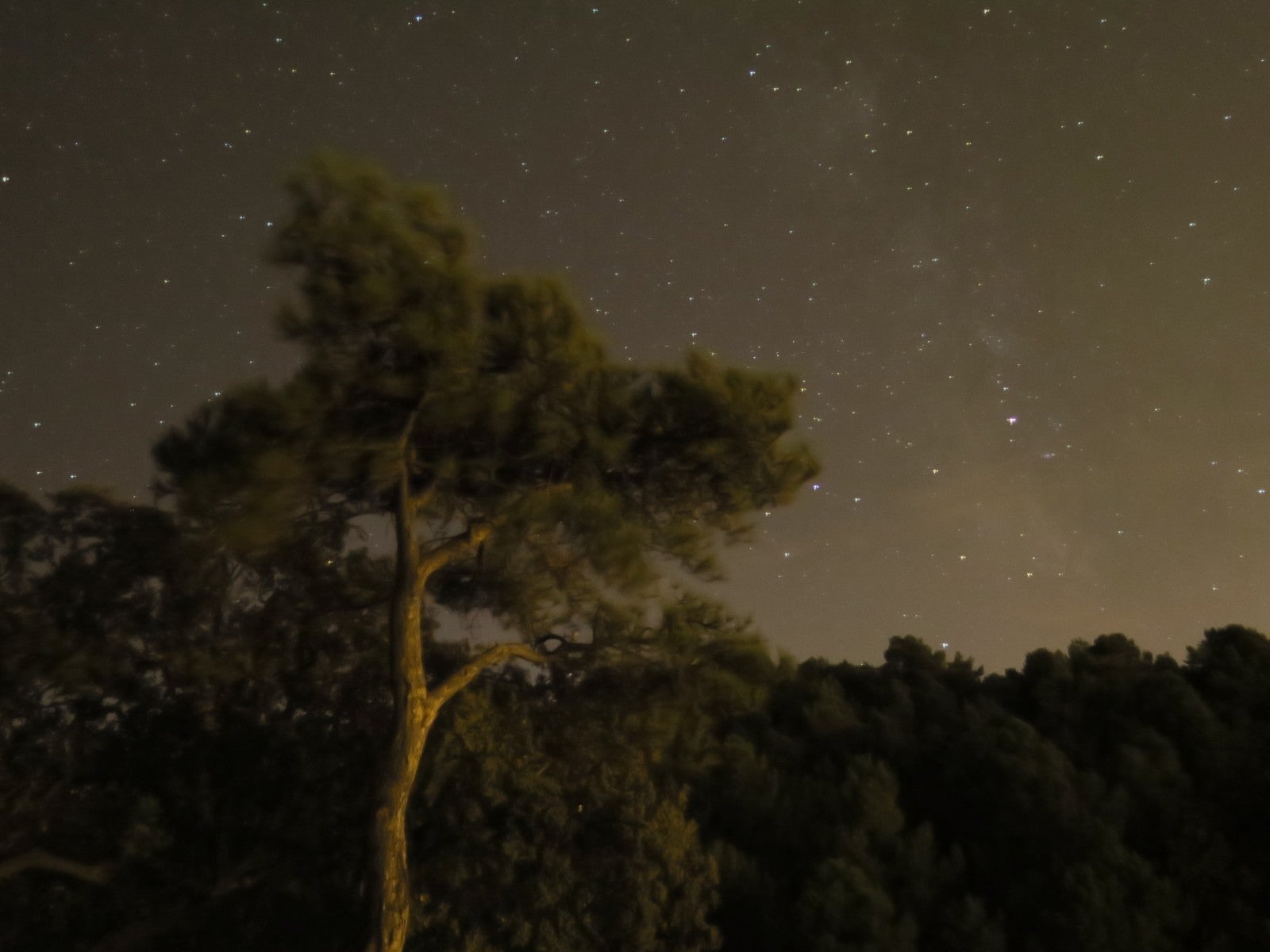 Fotos: Noche de luz