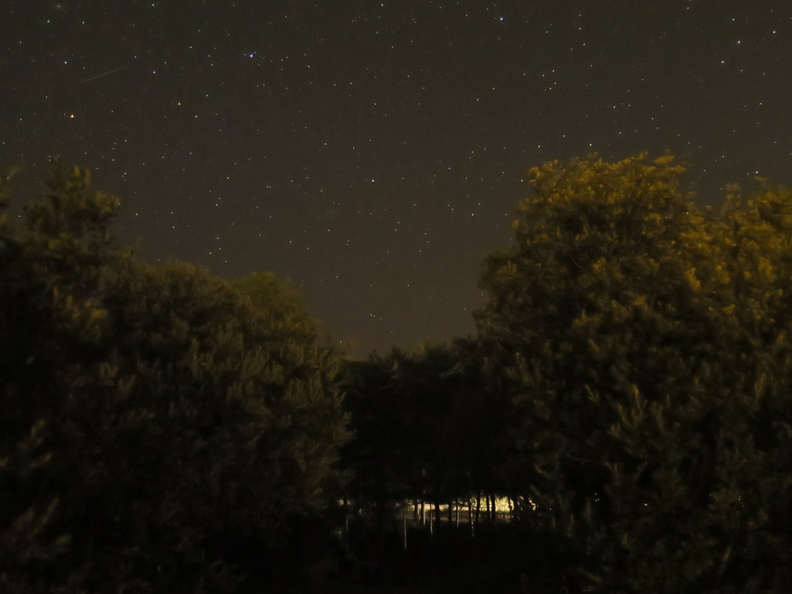 Fotos: Noche de luz