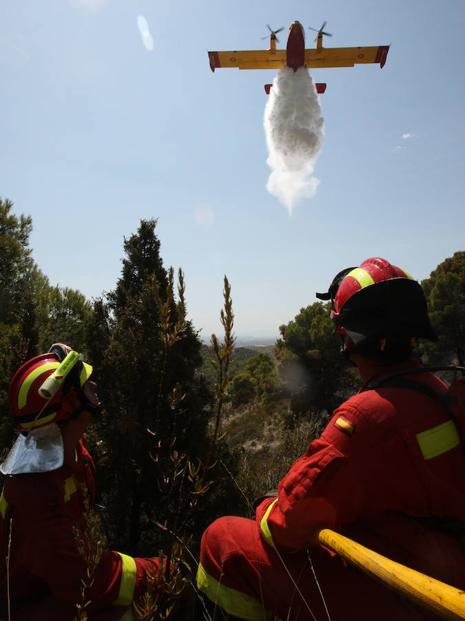 Fotos: La UME en acción