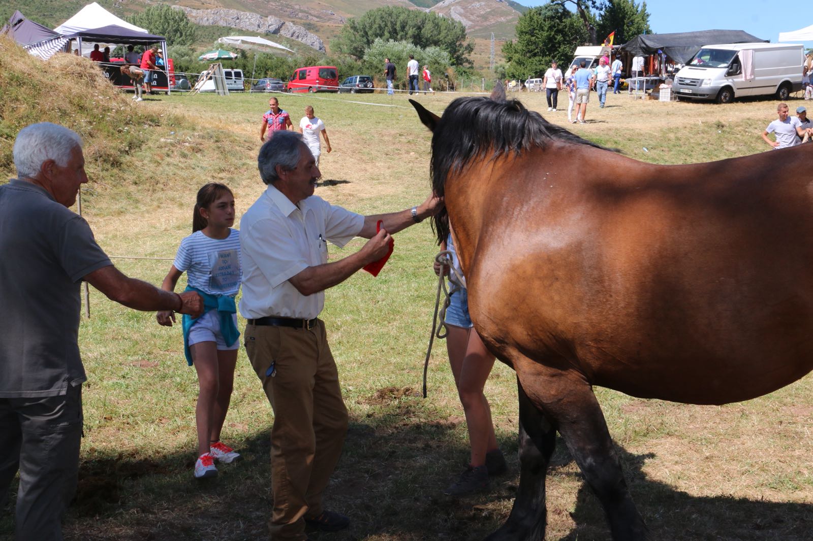 Fotos: Concurso hispano-bretón en San Emiliano de Babia