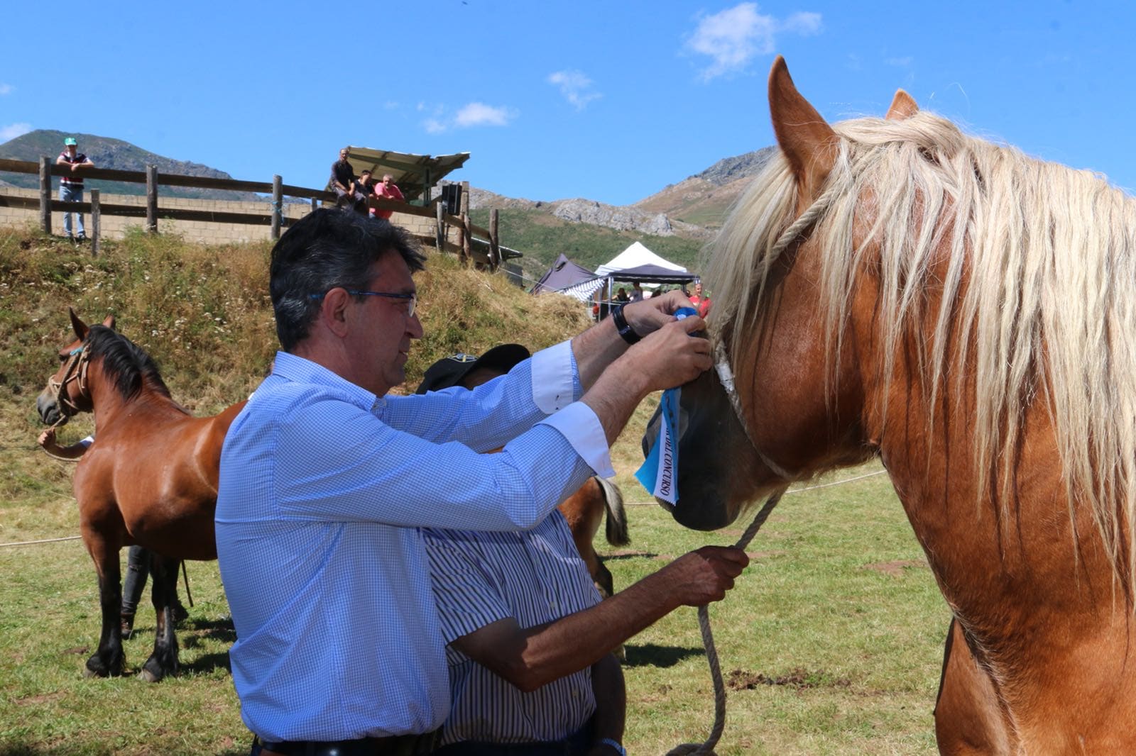 Fotos: Concurso hispano-bretón en San Emiliano de Babia