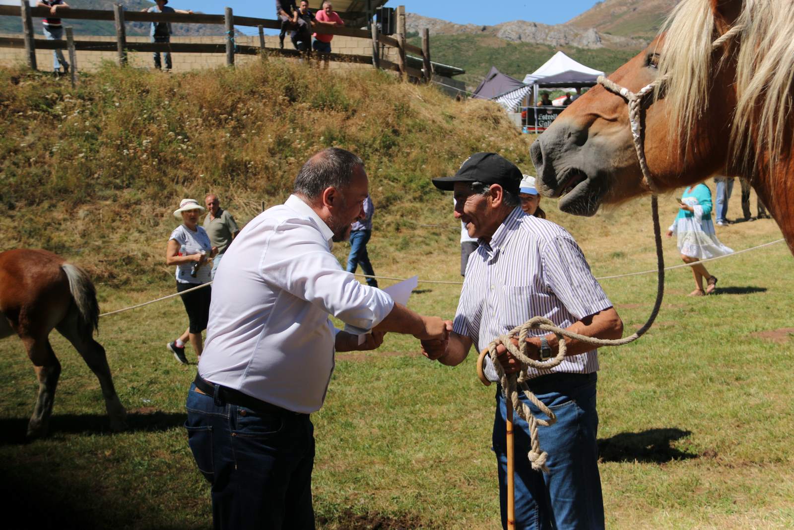 Fotos: Concurso hispano-bretón en San Emiliano de Babia