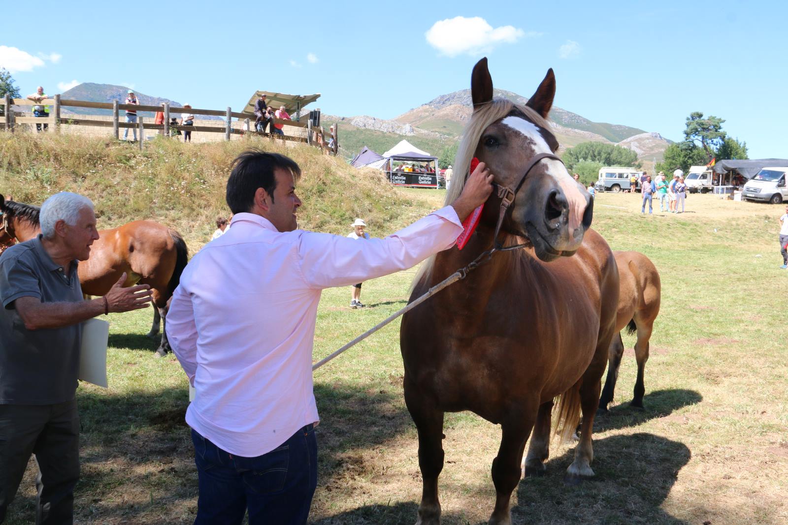 Fotos: Concurso hispano-bretón en San Emiliano de Babia