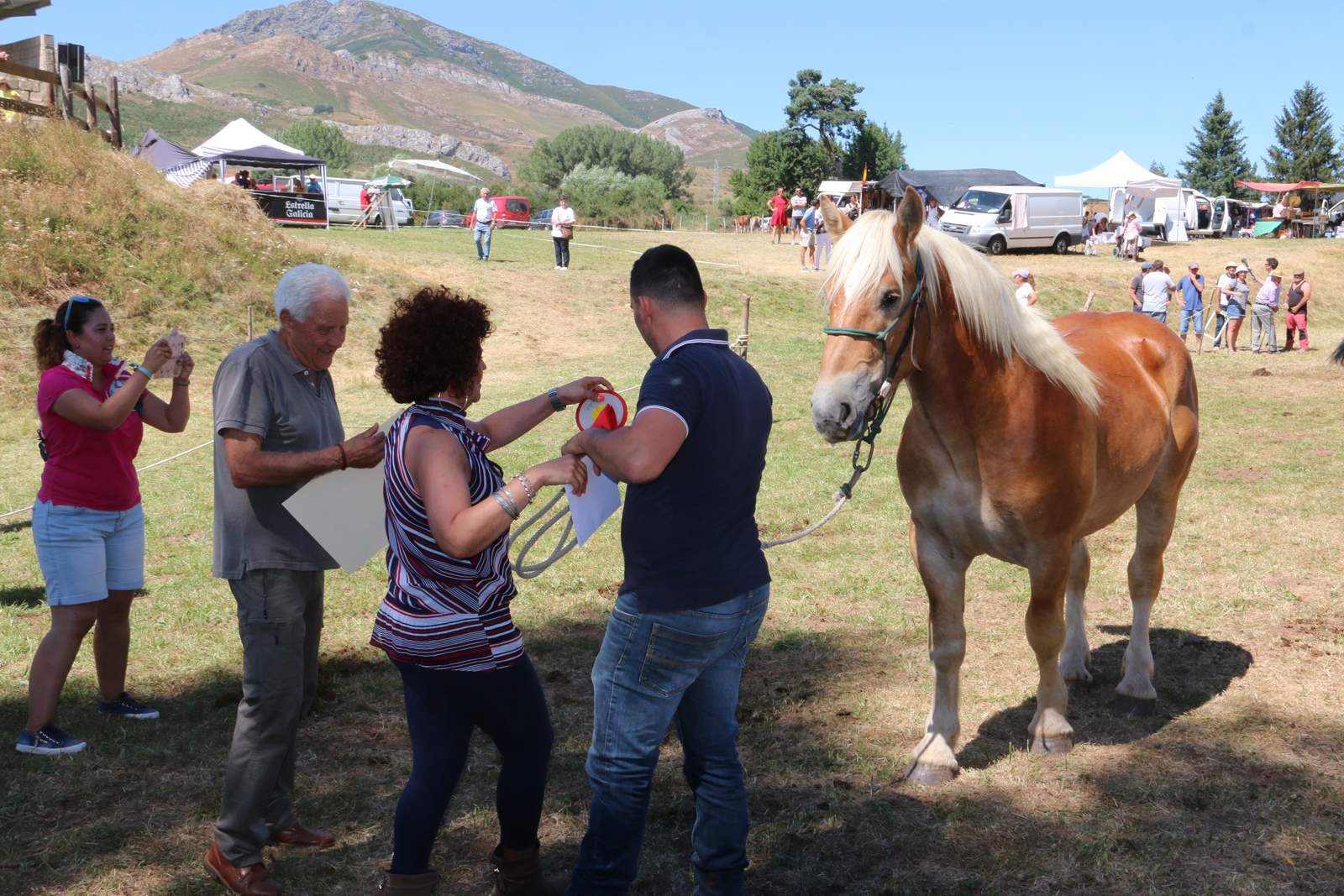 Fotos: Concurso hispano-bretón en San Emiliano de Babia