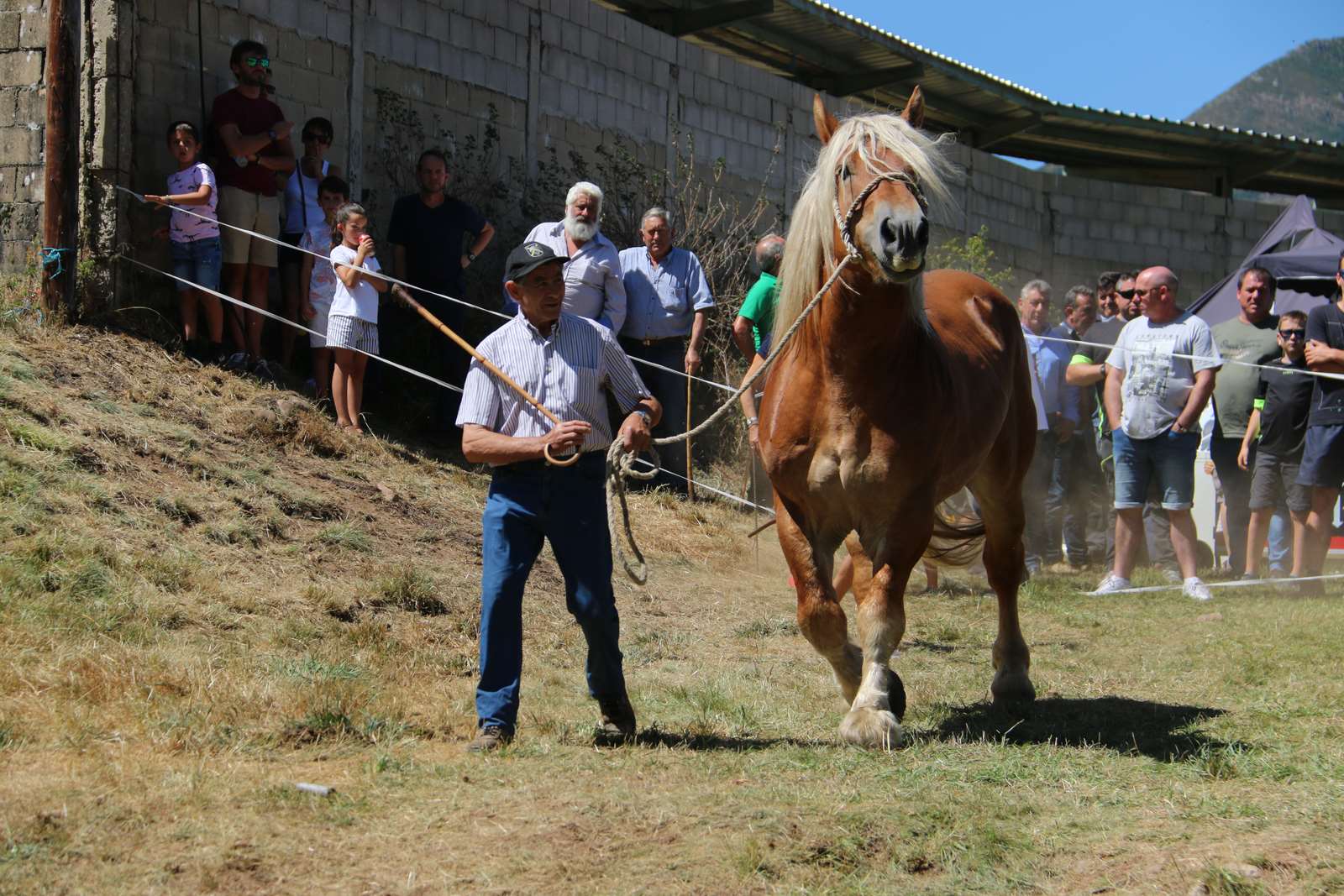 Fotos: Concurso hispano-bretón en San Emiliano de Babia