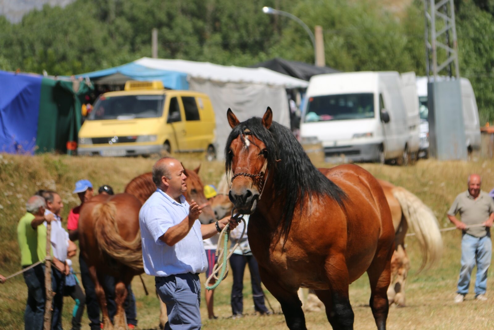 Fotos: Concurso hispano-bretón en San Emiliano de Babia