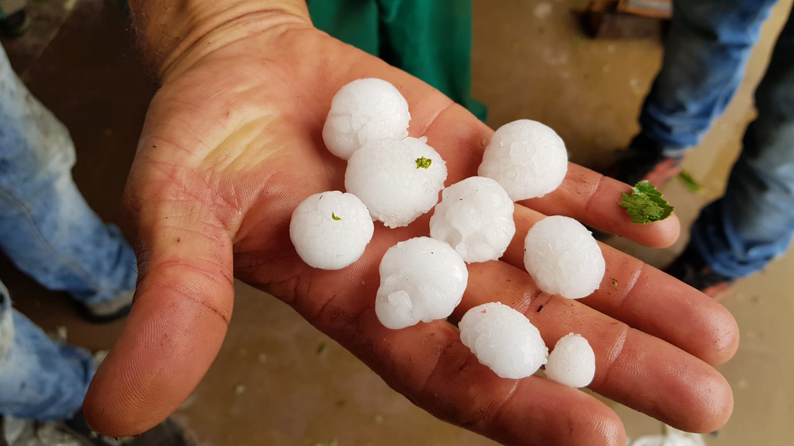 Fotos: Espectacular granizada en la provincia de León
