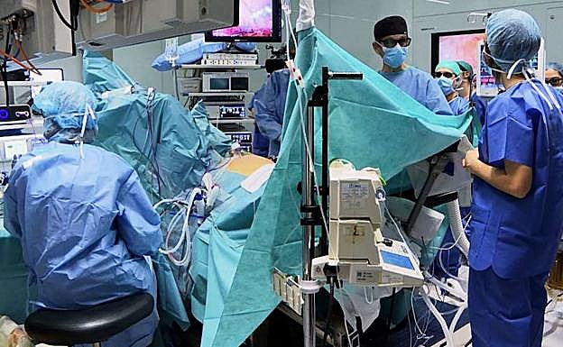 España, líder mundial en trasplantes por vigesimosexto año consecutivo