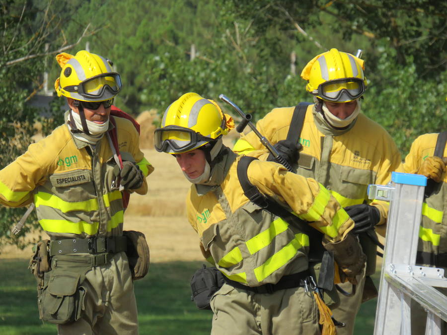 Fotos: El trabajo en la base de Camposagrado