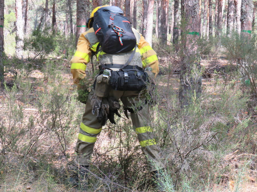 Fotos: El trabajo en la base de Camposagrado