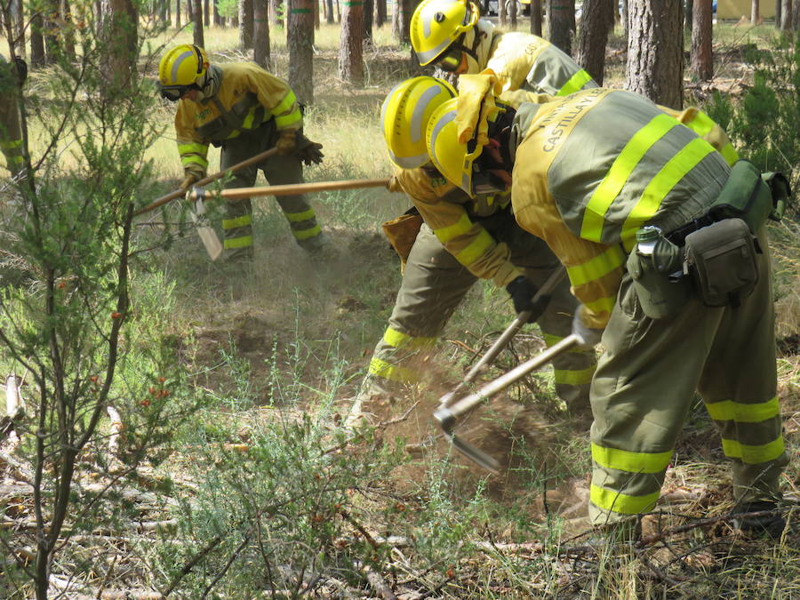 Fotos: El trabajo en la base de Camposagrado