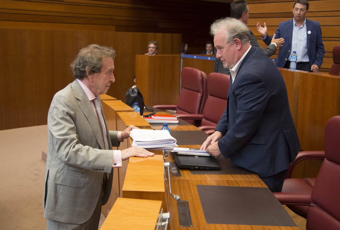 Fotos: Pleno en las Cortes de Castilla y León