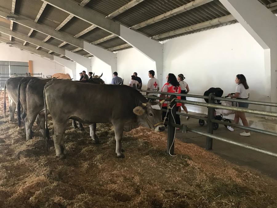 Fotos: La ganadería se vive en Puebla de Lillo