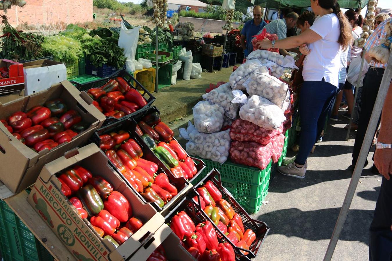 Fotos: El mejor pimiento, el de Fresno