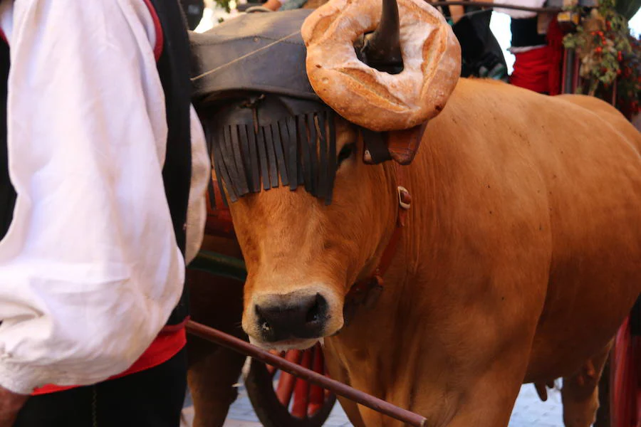 Fotos: Desfile de carros engalanados en León