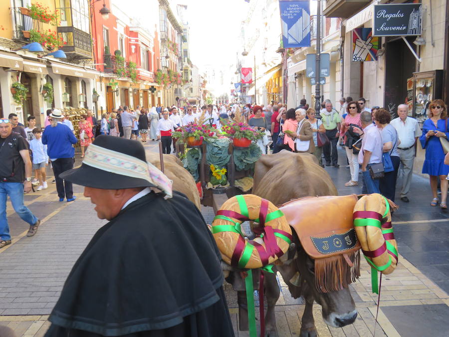 Fotos: El foro u oferta de la Catedral