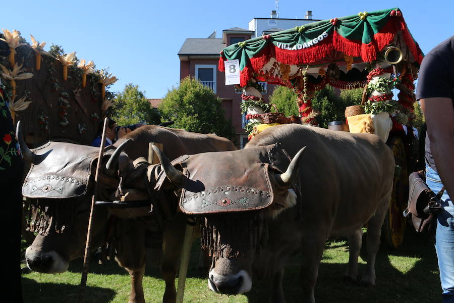 Los pendones leoneses y los carros engalanados exaltan el día de San Froilán en la Virgen del Camino en una muestra del valor y diversidad de las tierras del viejo Reino