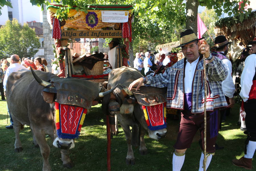 Los pendones leoneses y los carros engalanados exaltan el día de San Froilán en la Virgen del Camino en una muestra del valor y diversidad de las tierras del viejo Reino