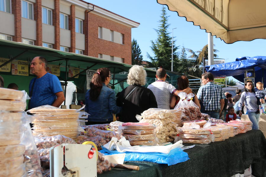 Los vecinos del viejo reino cumplieron en la mañana del viernes con la tradición de 'tocar la nariz' al santo para celebrar la fiesta del patrón de la Diócesis de León, San Froilán, en La Virgen del Camino