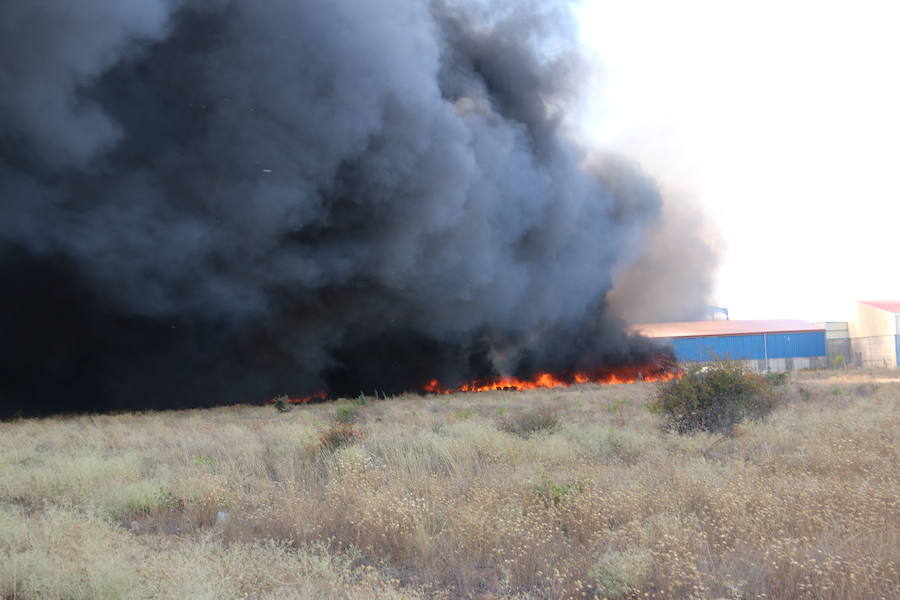 Fotos: Un incendio asola la planta de reciclaje industrial de León Verde