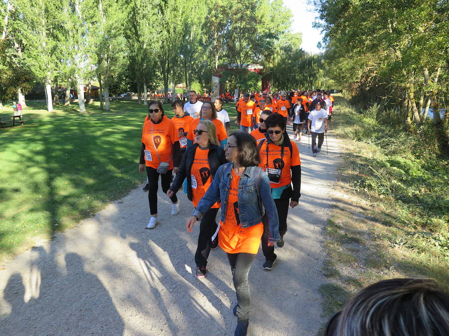 Fotos: I Marcha Solidaria de Alfaem