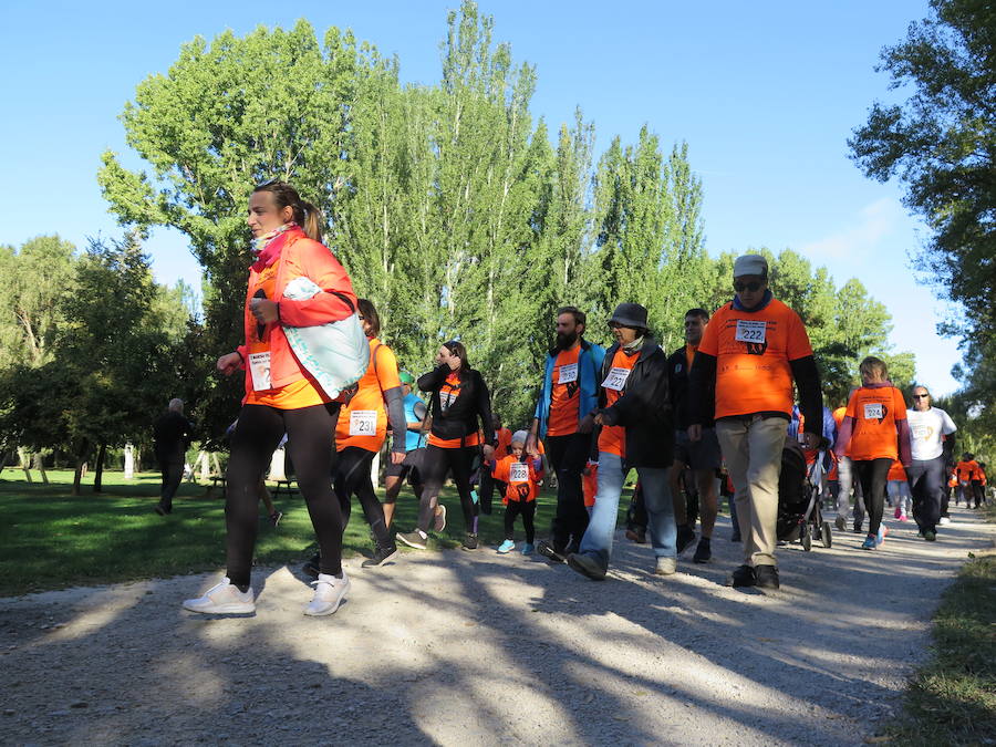 Fotos: I Marcha Solidaria de Alfaem