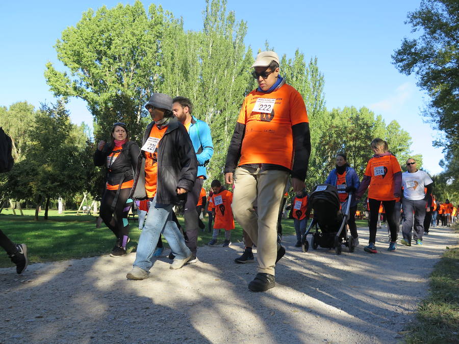 Fotos: I Marcha Solidaria de Alfaem