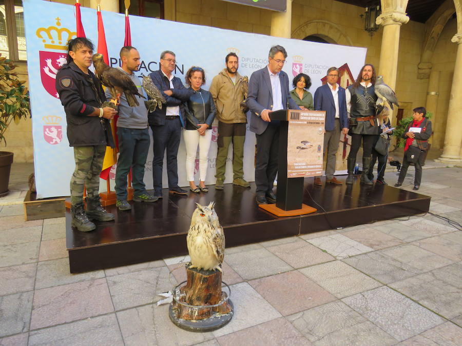 La Diputación de León acogió la presentación de las XXIV Jornadas Internacionales de Cetrería 