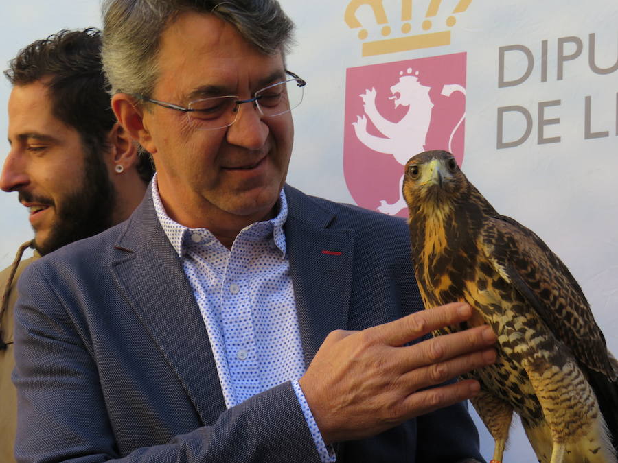 La Diputación de León acogió la presentación de las XXIV Jornadas Internacionales de Cetrería 