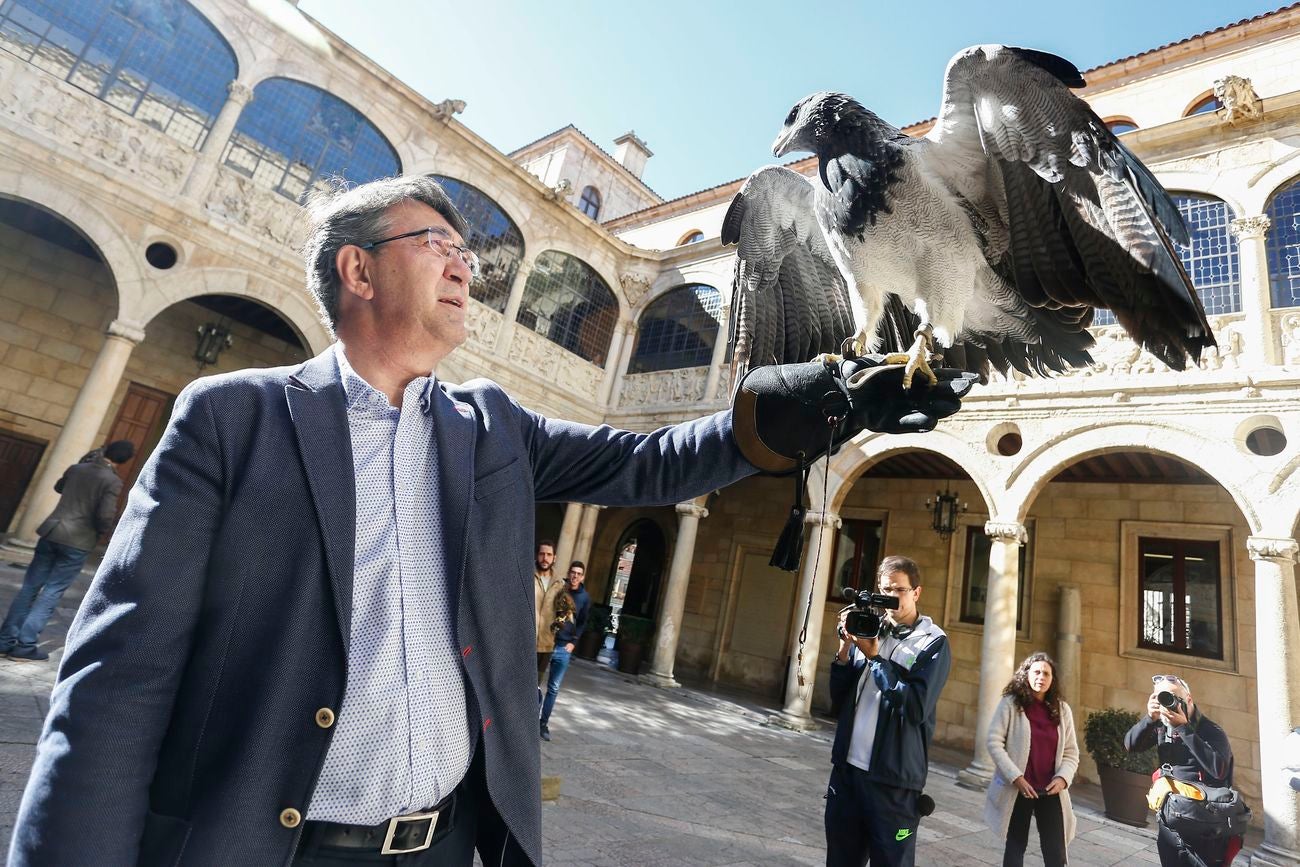 La Diputación de León acogió la presentación de las XXIV Jornadas Internacionales de Cetrería 