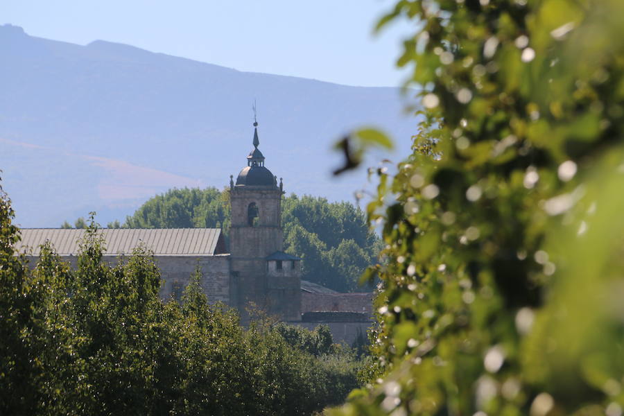 Cooperativa del Bierzo