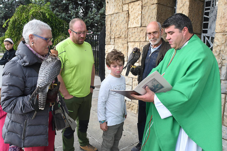 La Virgen del Camino acoge durante este puente las XXIV Jornadas Internacionales de Cetrería del Norte de España