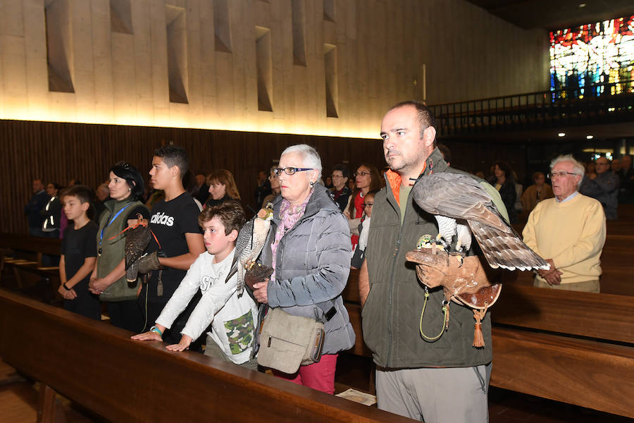 La Virgen del Camino acoge durante este puente las XXIV Jornadas Internacionales de Cetrería del Norte de España