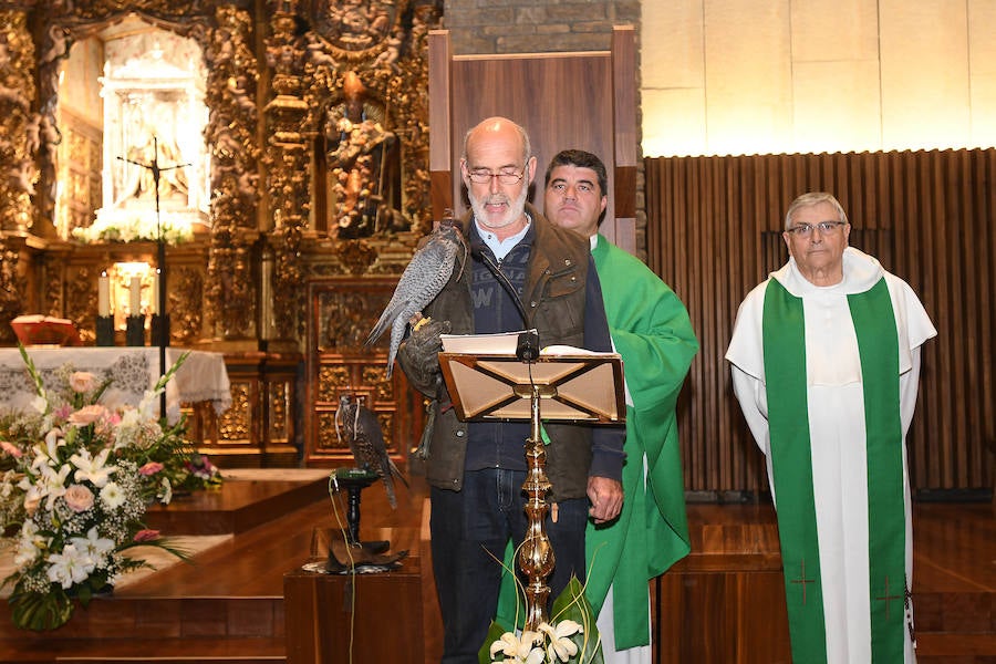 La Virgen del Camino acoge durante este puente las XXIV Jornadas Internacionales de Cetrería del Norte de España