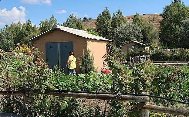 Huertos de la Candamia.