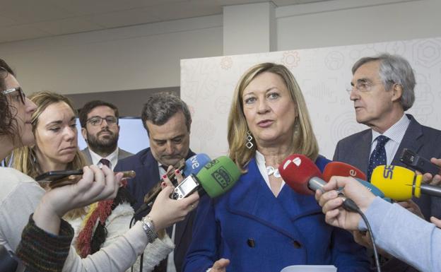 PIlar delOlmo, durante una rueda de prensa.